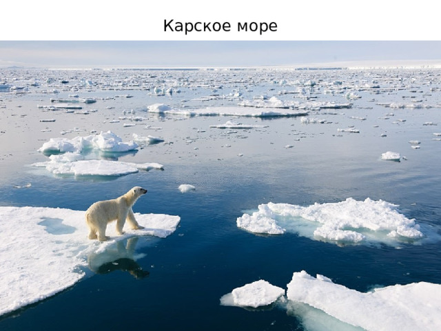 Карское море 