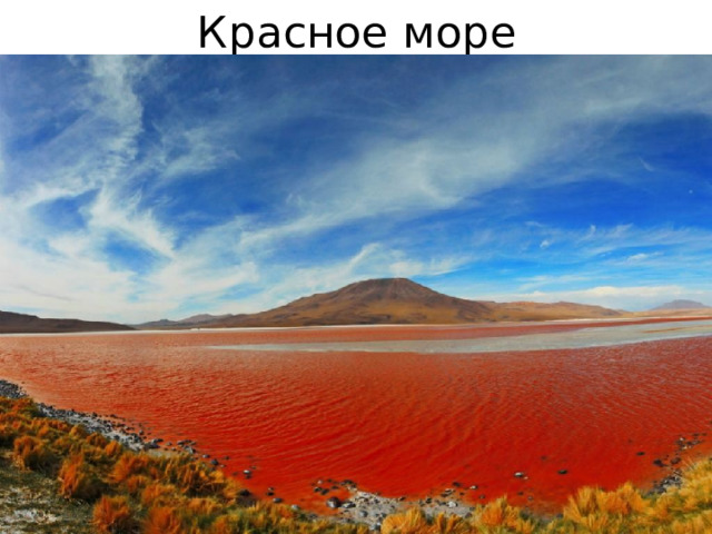 Красное море 