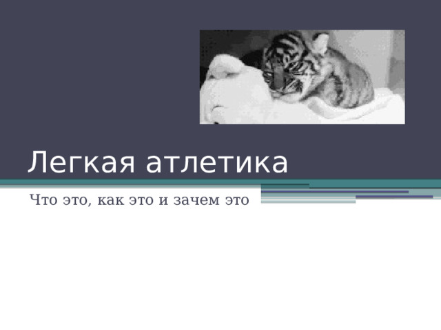 Легкая атлетика Что это, как это и зачем это 