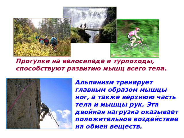 Прогулки на велосипеде и турпоходы, способствуют развитию мышц всего тела.  Альпинизм тренирует главным образом мышцы ног, а также верхнюю часть тела и мышцы рук. Эта двойная нагрузка оказывает положительное воздействие на обмен веществ. 