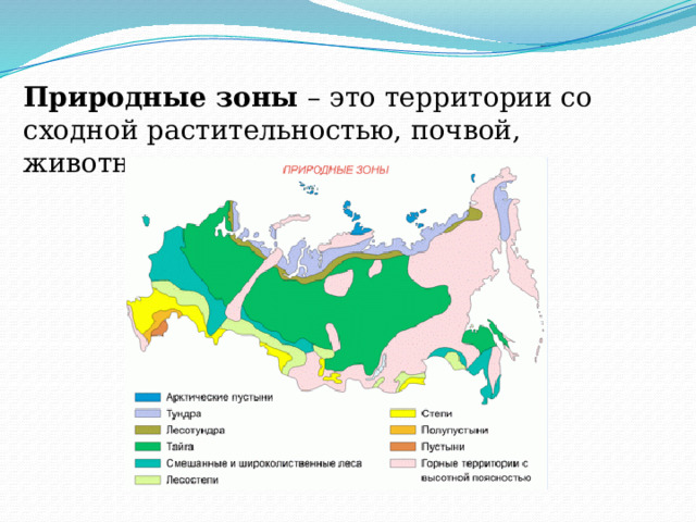 Природные зоны – это территории со сходной растительностью, почвой, животным миром. 