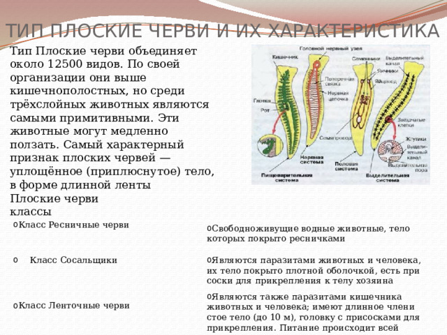 ТИП ПЛОСКИЕ ЧЕРВИ И ИХ ХАРАКТЕРИСТИКА Тип Плоские черви объединяет около 12500 видов. По своей организации они выше кишечнополостных, но среди трёхслойных животных являются самыми примитивными. Эти животные могут медленно ползать. Самый характерный признак плоских червей — уплощённое (приплюснутое) тело, в форме длинной ленты Плоские черви классы Класс Ресничные черви Свободноживу­щие водные жи­вотные, тело которых по­крыто ресничками Класс Сосальщики Являются паразитами животных и человека, их тело покрыто плотной оболочкой, есть при­соски для прикрепле­ния к телу хозяина Являются также паразитами кишечника животных и человека; имеют длинное члени­стое тело (до 10 м), го­ловку с присосками для прикрепления. Питание происходит всей поверхностью тела Класс Ленточные черви 