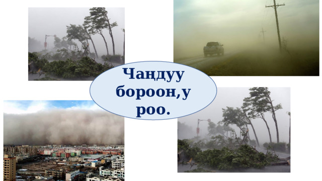 Чаңдуу бороон,уроо. 