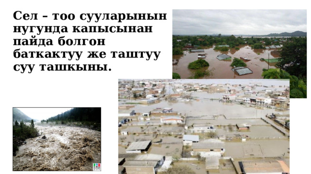 Сел – тоо сууларынын нугунда капысынан пайда болгон баткактуу же таштуу суу ташкыны. 