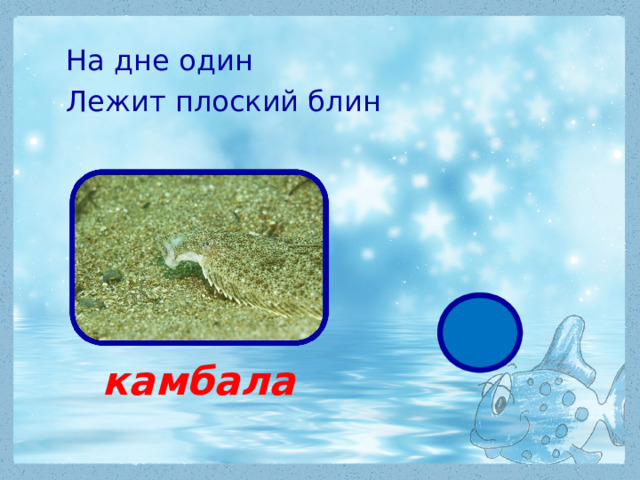 На дне один Лежит плоский блин  камбала 