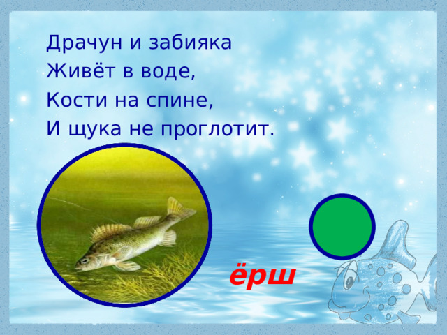Драчун и забияка Живёт в воде, Кости на спине, И щука не проглотит.  ёрш 