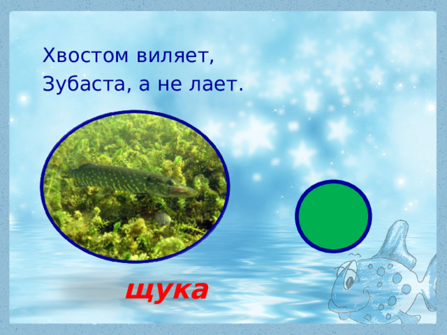 Хвостом виляет, Зубаста, а не лает.  щука 