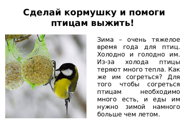   Сделай кормушку и помоги птицам выжить!    Зима – очень тяжелое время года для птиц. Холодно и голодно им. Из-за холода птицы теряют много тепла. Как же им согреться? Для того чтобы согреться птицам необходимо много есть, и еды им нужно зимой намного больше чем летом. 