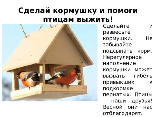 Сделай кормушку и помоги птицам выжить! Сделайте и развесьте кормушки. Не забывайте подсыпать корм. Нерегулярное наполнение кормушки может вызвать гибель привыкших к подкормке пернатых. Птицы – наши друзья! Весной они нас отблагодарят. 