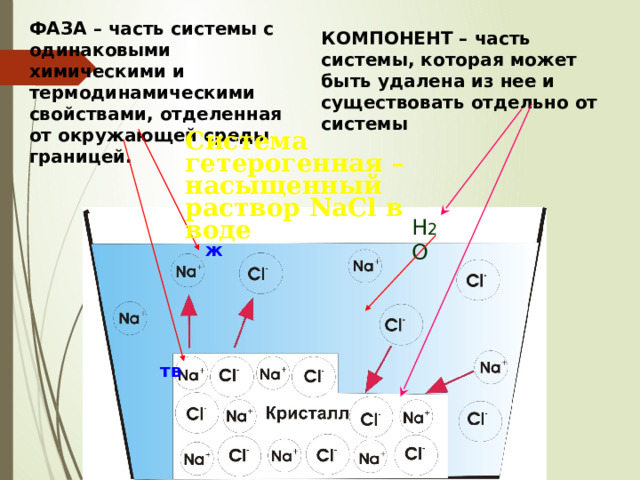 ФАЗА – часть системы с одинаковыми химическими и термодинамическими свойствами, отделенная от окружающей среды границей. КОМПОНЕНТ – часть системы, которая может быть удалена из нее и существовать отдельно от системы Система гетерогенная – насыщенный раствор NaCl в воде Н 2 О ж тв 