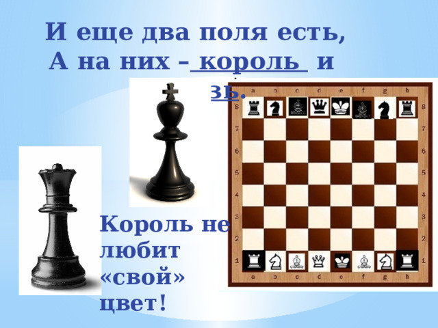 И еще два поля есть, А на них – король и ферзь .  Король не любит «свой» цвет! 