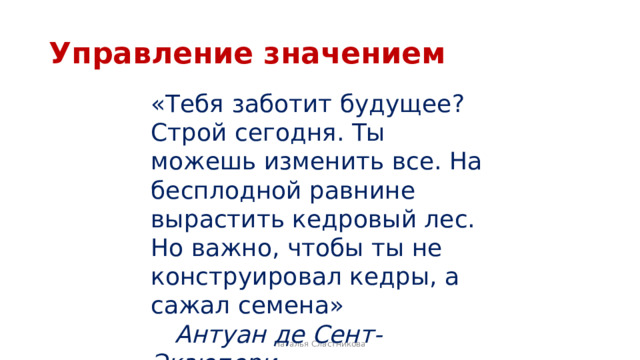 Управление значением «Тебя заботит будущее? Строй сегодня. Ты можешь изменить все. На бесплодной равнине вырастить кедровый лес. Но важно, чтобы ты не конструировал кедры, а сажал семена»  Антуан де Сент-Экзюпери Наталья Сластникова 