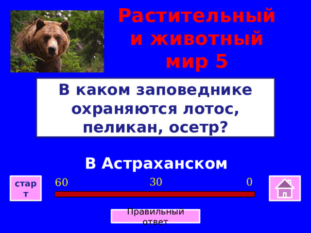 Растительный и животный мир 5 В каком заповеднике охраняются лотос, пеликан, осетр? В Астраханском 0 30 60 старт Правильный ответ 