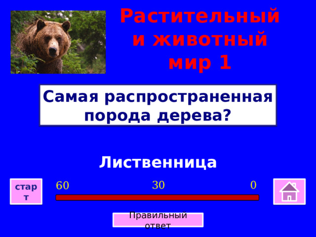 Растительный и животный мир 1 Самая распространенная порода дерева? Лиственница 0 30 60 старт Правильный ответ 