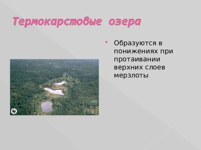 Образуются в понижениях при протаивании верхних слоев мерзлоты 