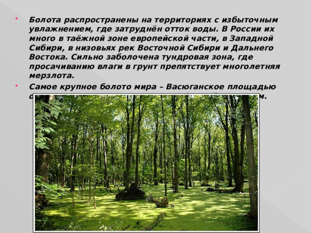 Болота распространены на территориях с избыточным увлажнением, где затруднён отток воды. В России их много в таёжной зоне европейской части, в Западной Сибири, в низовьях рек Восточной Сибири и Дальнего Востока. Сильно заболочена тундровая зона, где просачиванию влаги в грунт препятствует многолетняя мерзлота. Самое крупное болото мира – Васюганское площадью около 54 тыс. км² ; мощность торфа в нём – до 11м. 