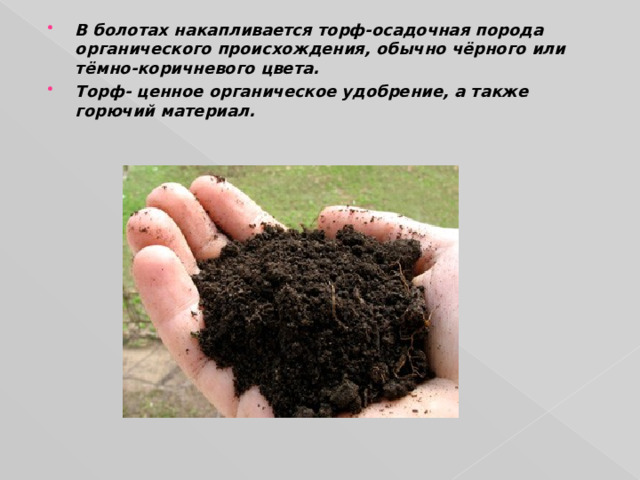 В болотах накапливается торф-осадочная порода органического происхождения, обычно чёрного или тёмно-коричневого цвета. Торф- ценное органическое удобрение, а также горючий материал. 