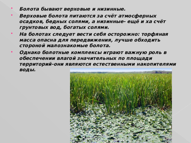Болота бывают верховые и низинные. Верховые болота питаются за счёт атмосферных осадков, бедных солями, а низинные- ещё и ха счёт грунтовых вод, богатых солями. На болотах следует вести себя осторожно: торфяная масса опасна для передвижения, лучше обходить стороной малознакомые болота. Однако болотные комплексы играют важную роль в обеспечении влагой значительных по площади территорий-они являются естественными накопителями воды. 