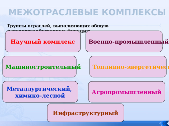 МЕЖОТРАСЛЕВЫЕ КОМПЛЕКСЫ Группы отраслей, выполняющих общую народнохозяйственную функцию Научный комплекс Военно-промышленный Машиностроительный Топливно-энергетический Металлургический, химико-лесной Агропромышленный Инфраструктурный  