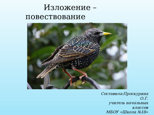  Изложение – повествование  Скворец Лёва Составила:Проскурина О.Г. учитель начальных классов МБОУ «Школа №18» г.Н.Новгорода  