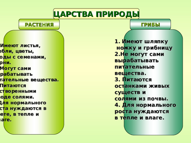 Имеют листья, стебли, цветы, плоды с семенами, корни. 2. Могут сами вырабатывать питательные вещества. 3. Питаются растворенными в воде солями. 4.Для нормального роста нуждаются в  свете, в тепле и  влаге. Имеют шляпку  ножку и грибницу 2.Не могут сами вырабатывать питательные вещества. 3. Питаются останками живых существ и солями из почвы. 4. Для нормального роста нуждаются в тепле и влаге.  ЦАРСТВА ПРИРОДЫ РАСТЕНИЯ ГРИБЫ 
