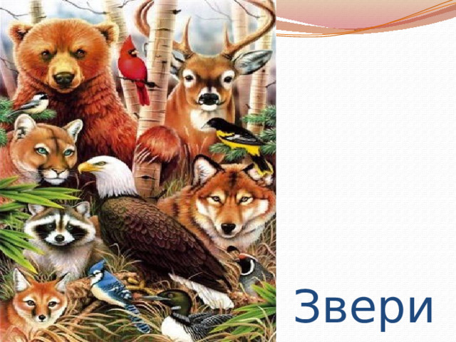 Звери 