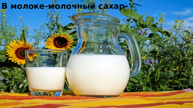 В молоке-молочный сахар   