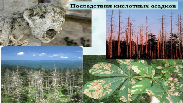 Причины кислотных дождей  Последствия кислотных дождей   