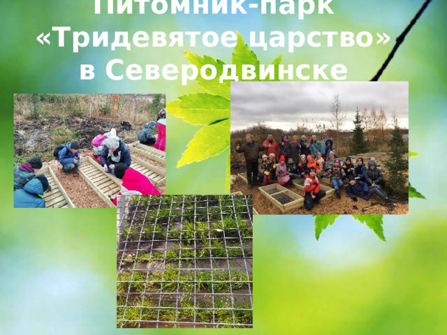 Питомник-парк «Тридевятое царство» в Северодвинске   