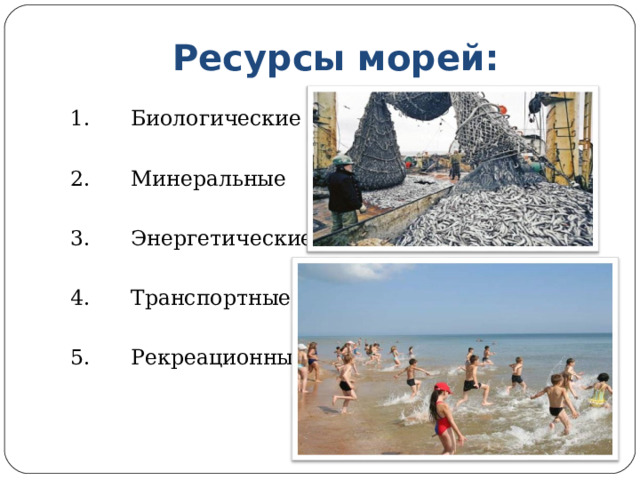 Ресурсы морей: 1. Биологические 2. Минеральные 3. Энергетические 4. Транспортные 5. Рекреационные 