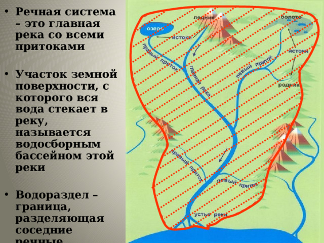 Речная система  – это главная река со всеми притоками  Участок земной поверхности, с которого вся вода стекает в реку, называется водосборным бассейном этой реки  Водораздел – граница, разделяющая соседние речные бассейны 