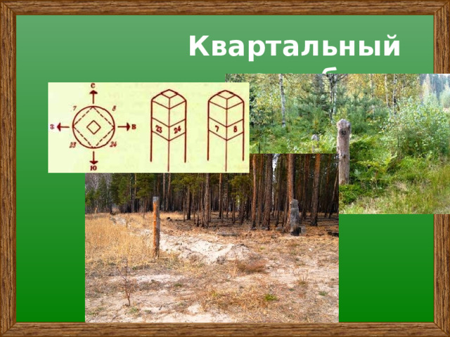 Квартальный столб 