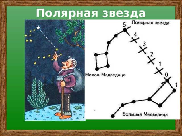 Полярная звезда 
