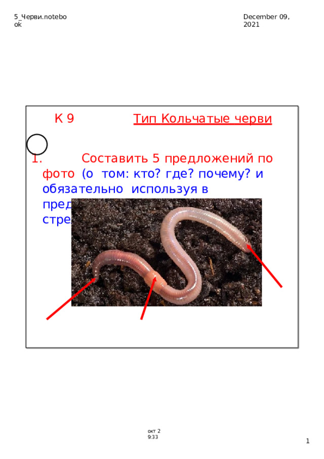 5_Черви.notebook December  09,  2021 К­  9  Тип  Кольчатые  черви  1 .   Составит ь  5  предложений  по  фото  (о том:  кто?  где?  почему?  и  обязательно  используя  в  предложениях  то,  что  указано  стрелками  ): ок т  2­9:33  