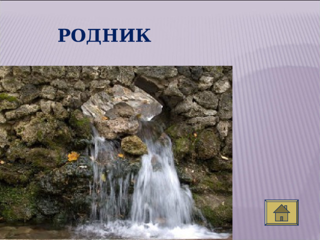 РОДНИК  