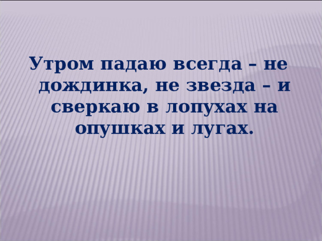 Утром падаю всегда – не дождинка, не звезда – и сверкаю в лопухах на опушках и лугах. 