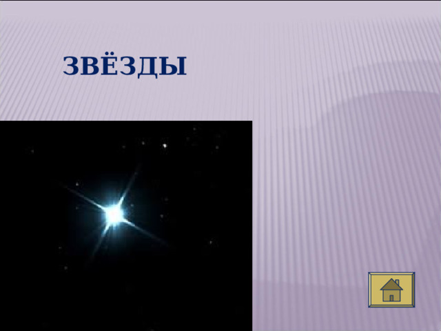 ЗВЁЗДЫ  