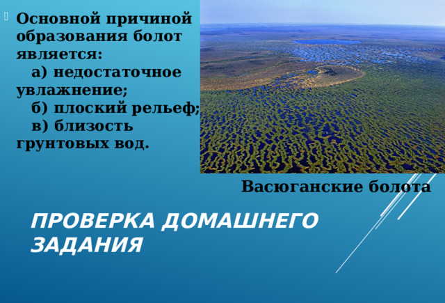 Основной причиной образования болот является:     а) недостаточное увлажнение;     б) плоский рельеф;     в) близость грунтовых вод. Васюганские болота ПРОВЕРКА ДОМАШНЕГО ЗАДАНИЯ 
