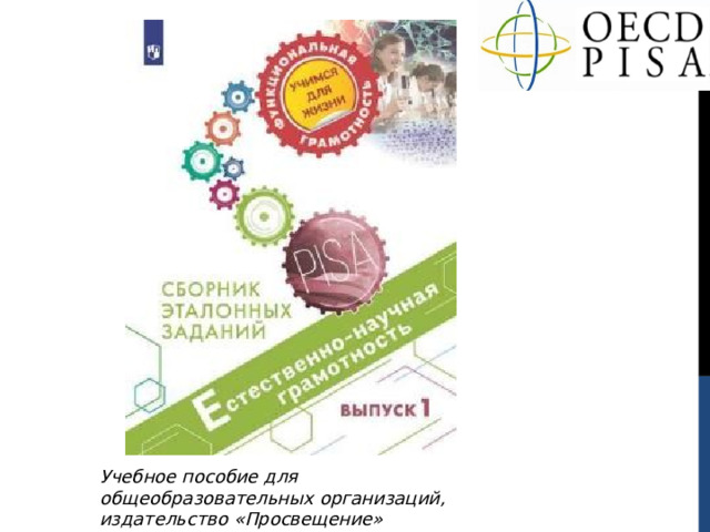 Учебное пособие для общеобразовательных организаций, издательство «Просвещение» 