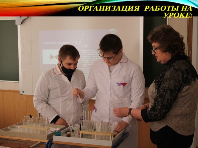 ОРГАНИЗАЦИЯ РАБОТЫ НА УРОКЕ: 