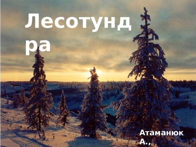 Лесотундра Атаманюк А., РПКт-19-9-1 