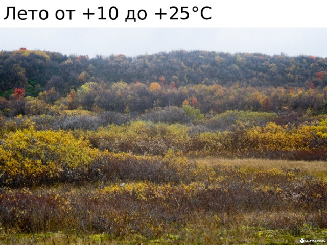 Лето от +10 до +25°С 