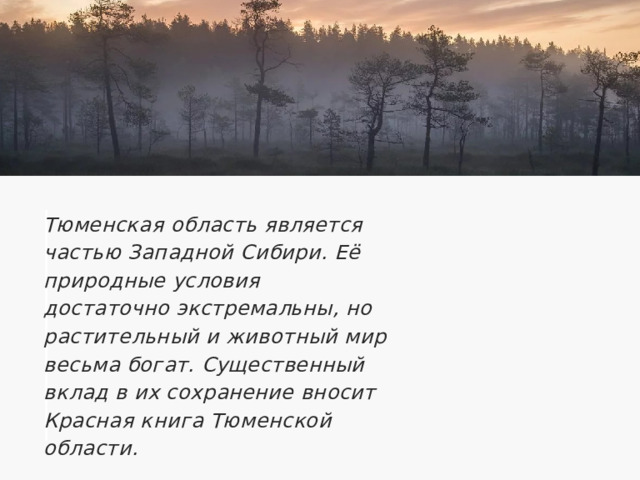 Тюменская область является частью Западной Сибири. Её природные условия достаточно экстремальны, но растительный и животный мир весьма богат. Существенный вклад в их сохранение вносит Красная книга Тюменской области. 