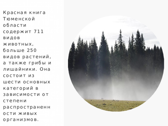 Красная книга Тюменской области содержит 711 видов животных, больше 250 видов растений, а также грибы и лишайники. Она состоит из шести основных категорий в зависимости от степени распространенности живых организмов. 