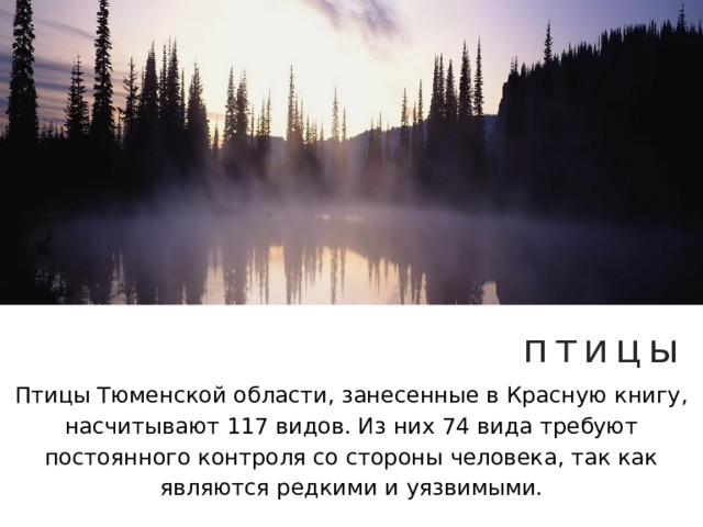 птицы Птицы Тюменской области, занесенные в Красную книгу, насчитывают 117 видов. Из них 74 вида требуют постоянного контроля со стороны человека, так как являются редкими и уязвимыми. 