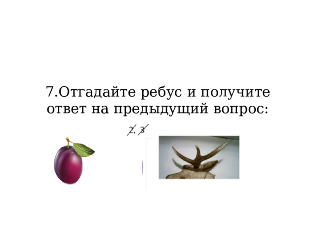 7.Отгадайте ребус и получите ответ на предыдущий вопрос: 