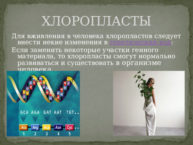 ХЛОРОПЛАСТЫ Для вживления в человека хлоропластов следует внести некие изменения в генетический код : Если заменить некоторые участки генного материала, то хлоропласты смогут нормально развиваться и существовать в организме человека. 