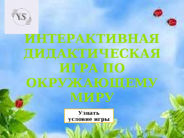 Интерактивная дидактическая игра по окружающему миру Узнать условие игры 