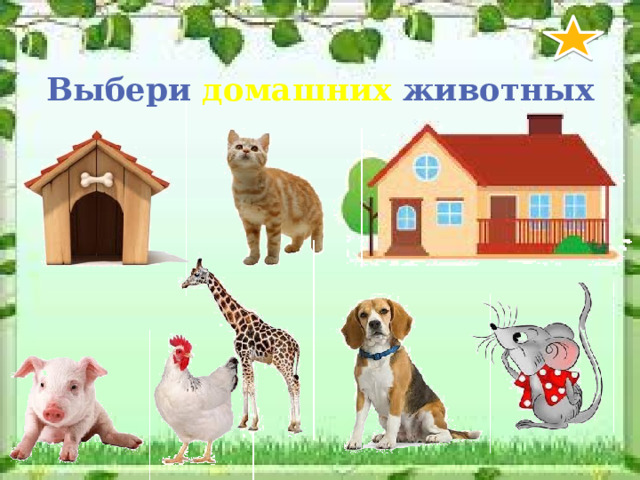 Выбери домашних животных 