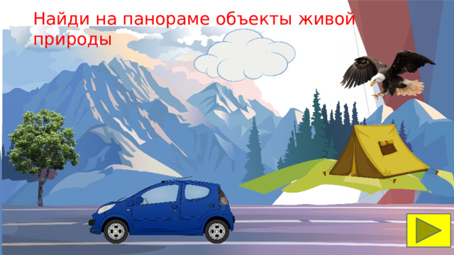 Найди на панораме объекты живой природы 
